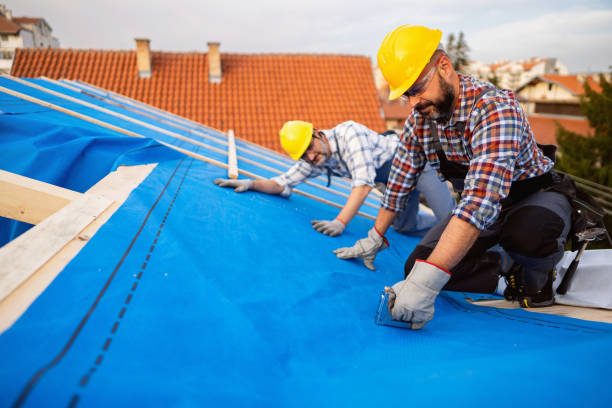 Best Roof Insulation Installation  in Belle Rose, LA