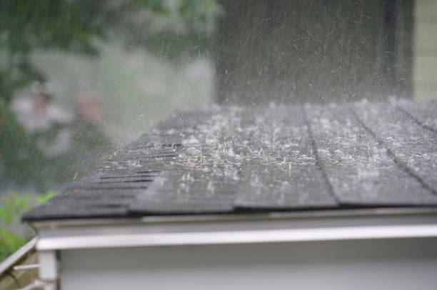 Best Gutter Installation and Repair  in Belle Rose, LA
