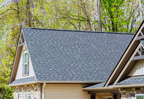 Best Roof Maintenance and Cleaning  in Belle Rose, LA