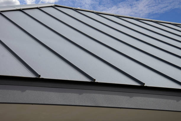 Best Roof Ventilation Installation  in Belle Rose, LA