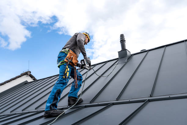 Best Roof Moss and Algae Removal  in Belle Rose, LA